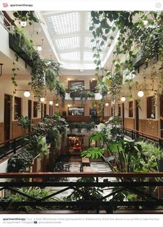 an atrium with lots of plants hanging from the ceiling and lights on either side of it