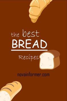 the best bread recipe for beginners