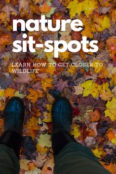 a person standing in leaves with the title nature sit - spots learn how to get closer to wildlife