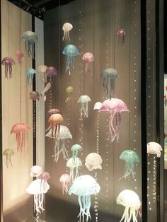 there are many jellyfish in the display case