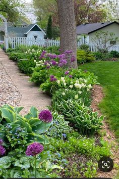 the garden is full of colorful flowers and plants, including hydrangea's