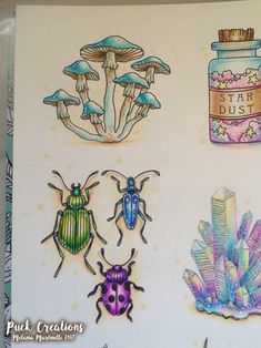 four different types of bugs and mushrooms on a card