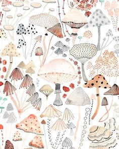 an illustration of mushrooms and ladybugs in pink, blue, orange and white