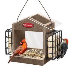 a bird feeder with two birds sitting on it's sides and one is eating