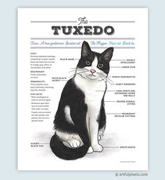 a black and white cat sitting down with the words tuxedo in front of it