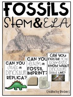 This fossil activity pack has been tested and approved by my third graders. They absolutely loved using their creativity and the STEM process while learning about fossils. Your kids will learn about fossils, but they will also use higher order thinking skills as they work on the STEM-centered activities. This pack can be used in the classroom or for distance learning. I've included an organizer about the different types of fossils, reading passage about paleontologist, writing prompts, fossil im Fossil Activities, Fossil Activity, Fossils Lesson, Types Of Fossils, Build A Dinosaur, Fossils Activities, Stem Centers, Higher Order Thinking Skills, Higher Order Thinking