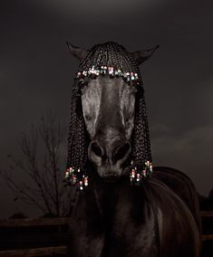 a black horse wearing a headdress on it's head in front of a dark sky