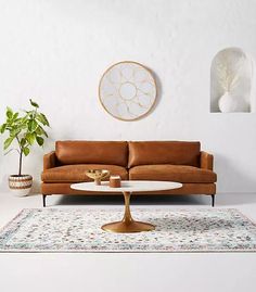 a living room with a couch, coffee table and potted plant