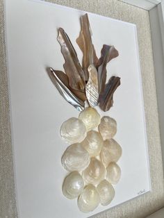 some sea shells and a pair of tongs on a piece of white paper in a frame