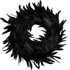 black feathers are arranged in the shape of a circle