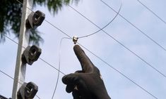 an elephant reaching up to power lines with its trunk