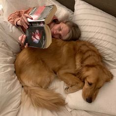 a woman laying in bed reading a book with her golden retriever dog sleeping beside her