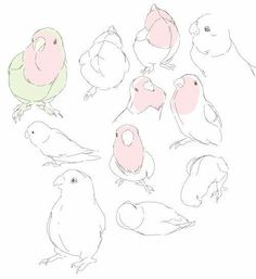 a drawing of birds with different colors and sizes