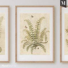 three framed art pieces with different plants on them