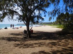 people are relaxing on the beach by the water and in the sand under a tree