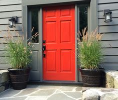 two large planters with plants in front of a red door