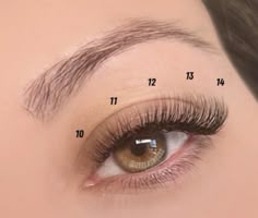 Lash Map Natural Cat Eye, Lash Inspo Eyelash Extensions Map, Natural Lash Clusters Map, Lash Cluster Ideas, Lash Mapping Clusters Natural, Natural Lash Cluster Map, Lash Clusters Mapping Styles, Lash Map Natural, Lash Maps Clusters