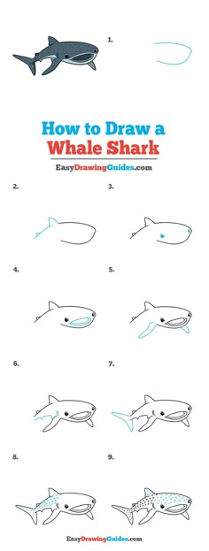 how to draw a whale shark step by step drawing guide for kids and beginners