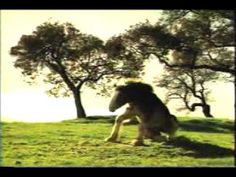 a horse that is sitting in the grass near some tree's on a hill