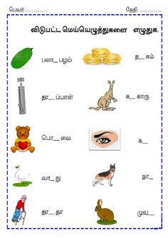 an english worksheet with pictures of animals and things in the words on it