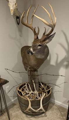 a deer head mounted on top of a wooden barrel