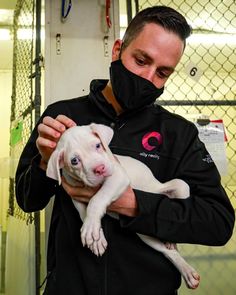 a man in a black jacket holding a white dog wearing a mask on it's face