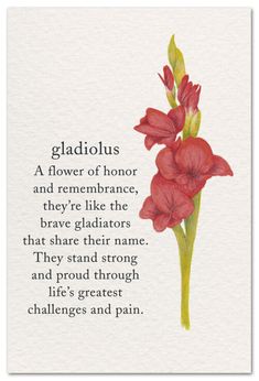 a red flower with the words gladiolus on it