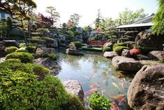 a small pond surrounded by rocks and plants