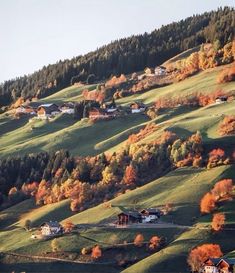 a hillside with houses on it and trees in the foreground that are changing colors