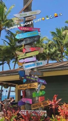 a wooden pole with many signs on it in front of some palm trees and plants