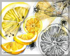 an artistic drawing of lemons and orange slices