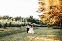 a bride and groom walking through an apple orchard in the evening sun with their arms around each other