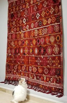 a white cat sitting on the floor next to a large red rug with many designs