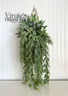 a green plant hanging from the side of a wall