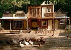 a group of ducks standing in front of a building