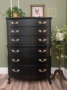 a black chest of drawers with gold leaf decorations on the top and bottom, next to a potted plant