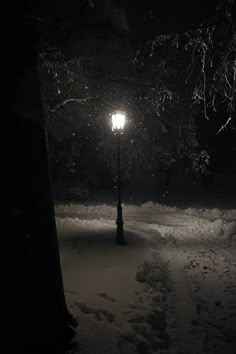 dark winter snow aesthetic. Dark christmas. Snow storm snow in city lamp post Snow Aesthetic Dark, Winter Snow Aesthetic, Park At Night, Snow Aesthetic, Night Scenery, Deep Winter, Winter Wallpaper