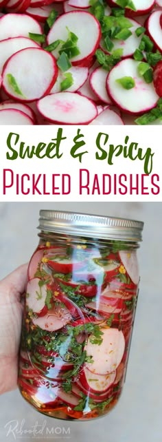 pickled radishes in a jar with text overlay that reads sweet and spicy pickled radishes