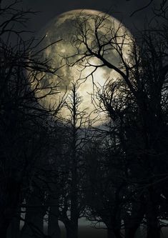 the full moon is seen through some trees in front of a dark sky with no leaves