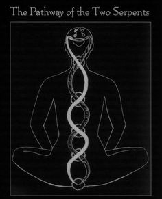 the pathway of the two serpents poster with an image of a person sitting in a lotus