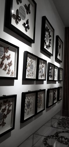 a wall with many framed pictures and butterflies on it's sides, along with black and white tile flooring