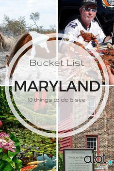 the bucket list for many things to do in maryland, florida with pictures of people and animals