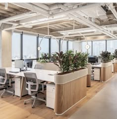 an office with plants in the middle of it