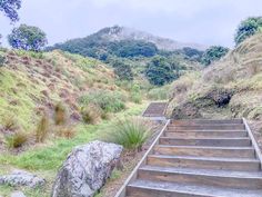 some steps going up to the top of a hill with grass and rocks on either side