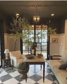 a living room filled with furniture and a potted plant on top of a table