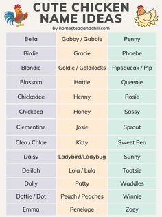 chicken names and their meaningss are shown in this graphic chart, which shows the different types