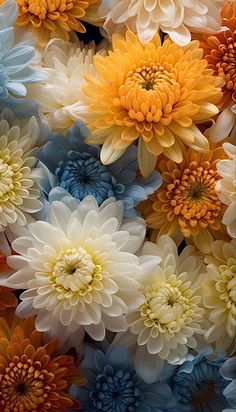 many different colored flowers are arranged together