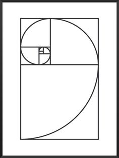 a black and white drawing of a golden section in a rectangle with the letter p on it