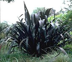 a large metal plant in the middle of some grass