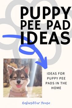 a dog with its eyes closed and the words puppy pee pad ideas written above it